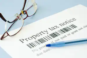 property tax consultants fulton county