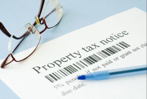 Florida Property Tax Consulting Firm