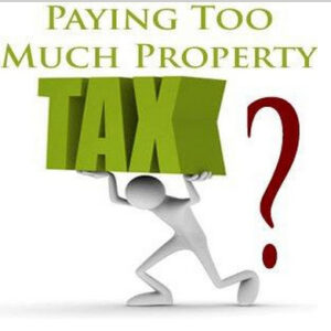 property tax consultants St Petersburg