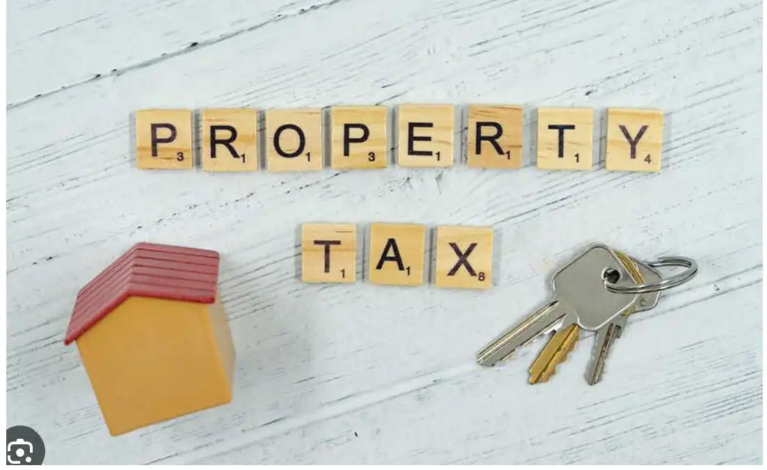 Lower Property Tax in Fort Myers